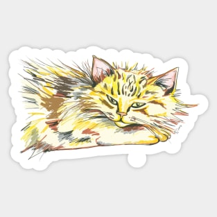 Playful Kitten Sticker